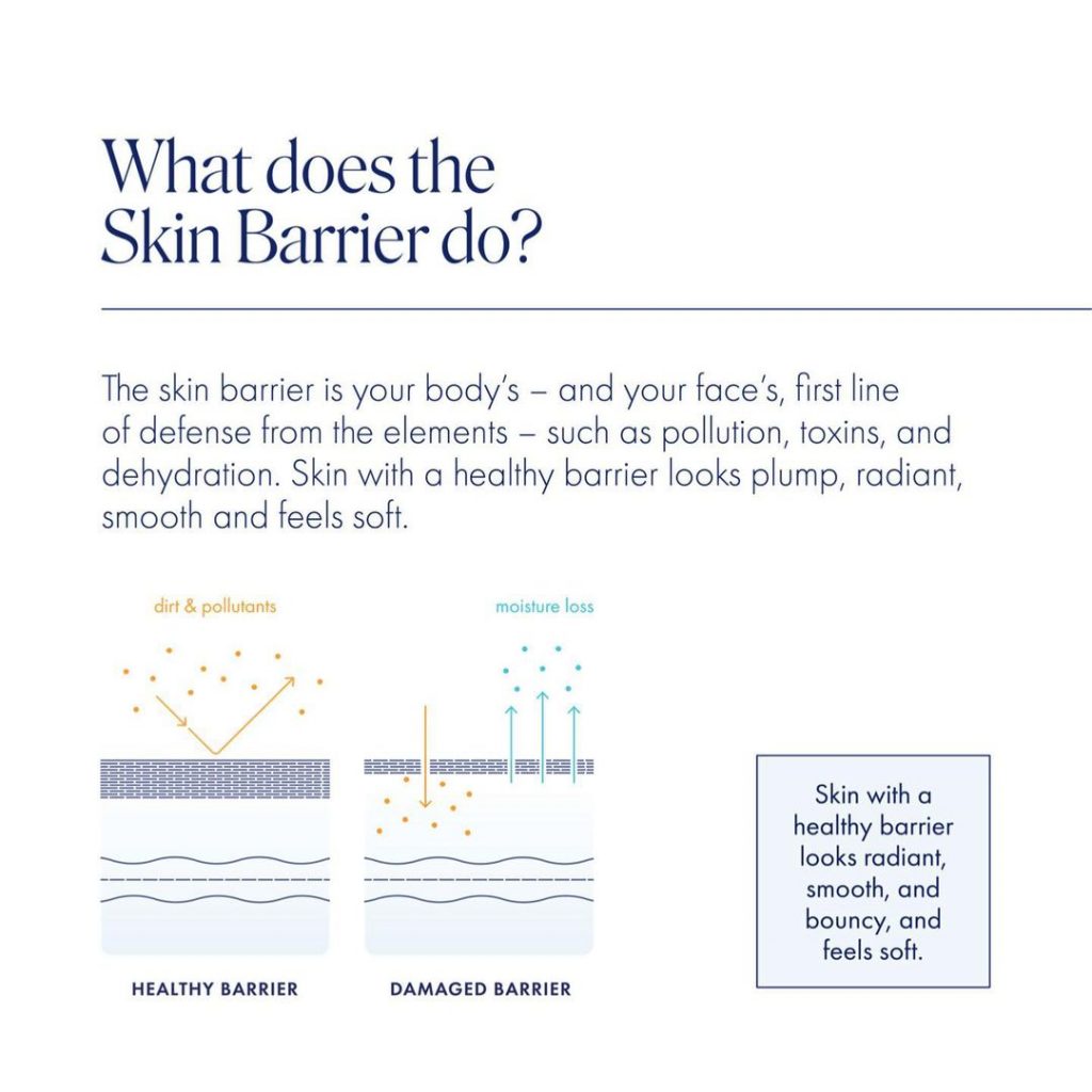 What does the skin barrier do